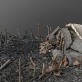 Rustic Wooden and Stone Outdoor Structure Featuring Logs Stones Dirt Fallen Leaves and Twigs