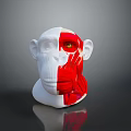 Monkey Head Model With Half White And Red Muscle Anatomy Yellow Eyes