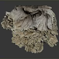 Natural Stone Wood Formation with Intricate Texture and Cream Light Brown Color