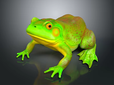 Green Frog with Orange Eyes Spotted Body and Yellow Underside on Black Reflective Surface 3d model