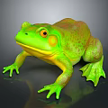 Green Frog with Orange Eyes Spotted Body and Yellow Underside on Black Reflective Surface