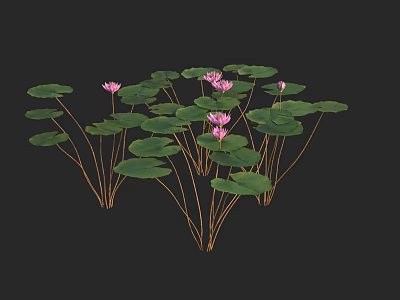 Pink Lotus Flowers With Green Lily Pads And Golden Stems On Black Background 3d model
