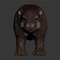 Realistic Baby Hippopotamus With Smooth Brown Skin Standing On Black Reflective Surface