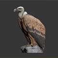 Decorative Eagle Sculpture With White Head Brown Orange Feathers And Stone Base