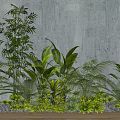 Various Green Plants Arrangement Against Gray Wall With Wooden Floor And Pebbles