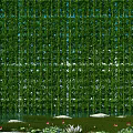 Lush Green Climbing Vines Covered Wall With Pond Stones And Lotus Flowers