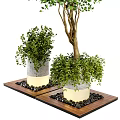 Cylindrical Tree Planter with Lush Green Trees and Black Pebbles on Wooden Platform