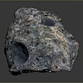 Natural Wooden Stone with Porous Surface Multicolor Texture and Shiny Reflective Finish