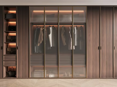 Modern Wooden Wardrobe Design With Glass Doors Hanging Clothes And Interior Lighting 3d model