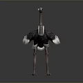 Ostrich Flight Animal Standing With Grey And White Feathers On Dark Background