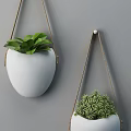 Set Of White Hanging Planters Holding Different Green Plants As Wall Decor