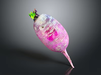Fresh Purple Radish with Pink Stripes and Green Leaves on Top Against Dark Background 3d model
