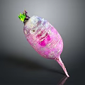 Fresh Purple Radish with Pink Stripes and Green Leaves on Top Against Dark Background