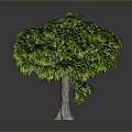 Lush Green Tree With Leafy Canopy And Brown Trunk In Isolated 3D Rendering