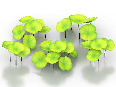 Aquatic Plants With Lush Green Round Leaves For Water Decoration 3d model