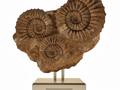 Decorative Ornament Set With Spiral Fossil Texture On Metal Stand Base 3d model