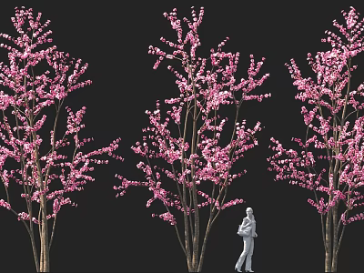 Vibrant Pink Flowering Shrubs With Lush Blooms And Person Walking Among Them 3d model