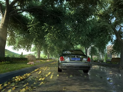 Municipal Road With Lush Trees Greenery And Car On Wet Surface With Fallen Leaves 3d model