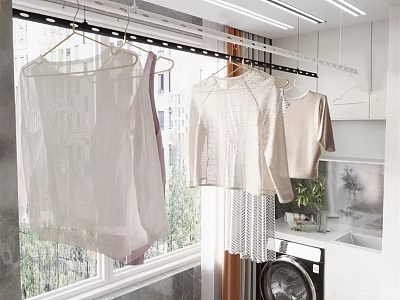 Hangers With Hanging Clothes In Modern Laundry Room By Window And Washing Machine 3d model
