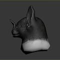 Detailed Bat Head 3D Model With Black Fur White Bottom And Gray Background 3d model