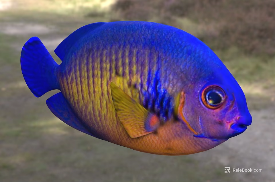 Vibrant Blue And Yellow Striped Tropical Fish With Large Eyes And Colorful Scales 3d model 