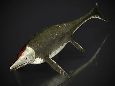 Detailed Ichthyosaur With Streamlined Body Flippers Red Head Marks And Green White Skin 3d model