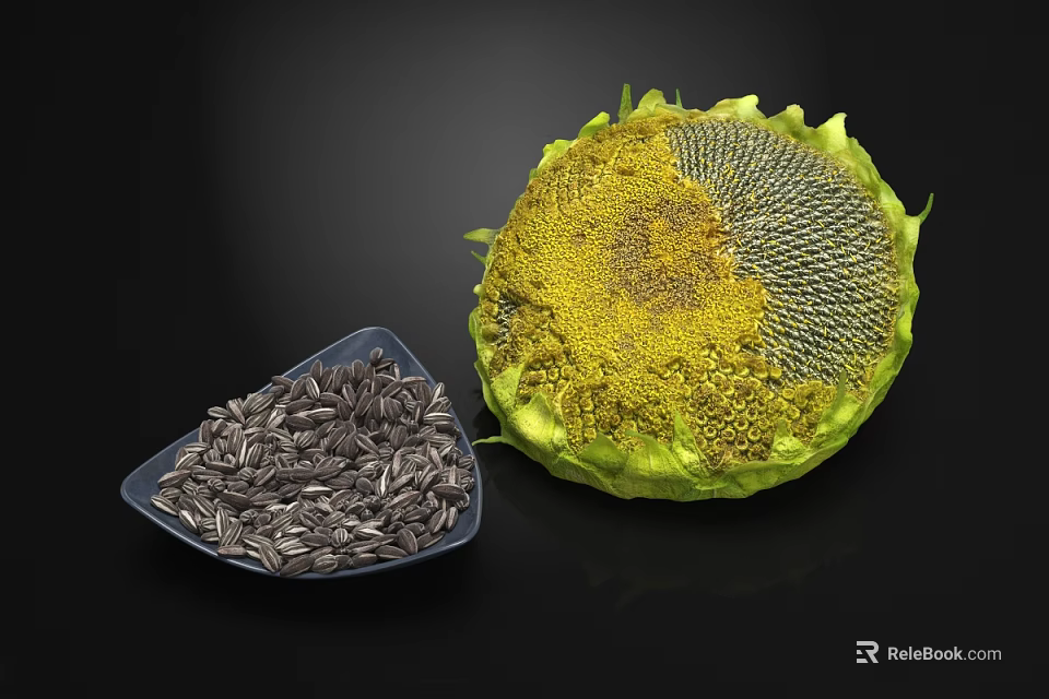 Fresh Sunflower Seeds in Blue Plate Next to Whole Sunflower Head 3d model 