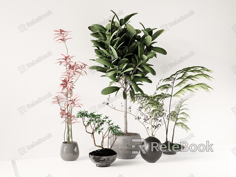 potted plants green plants flowerpot trees flowers tropical plants model