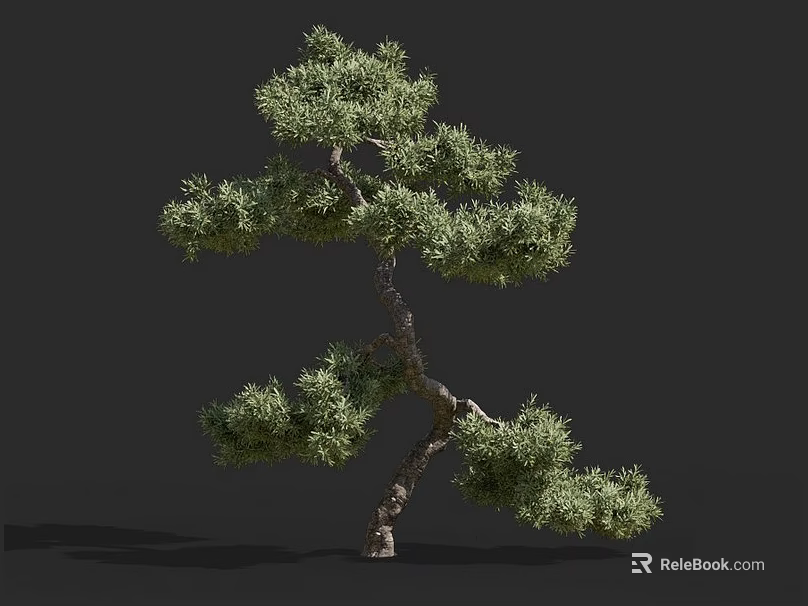 Lush Green Shrub With Curved Branches And Unique Natural Growth Form 3d model 