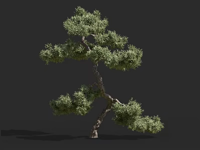 Lush Green Shrub With Curved Branches And Unique Natural Growth Form 3d model