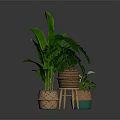 Lush Green Banana Leaf and Monstera Plants in Woven Planters on Wooden Stool