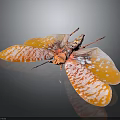 Vibrant Insect With Orange And White Patterned Wings On Dark Background 3d model
