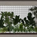 Assorted Tropical Flowers And Green Plants With Large Foliage For Decorative Garden