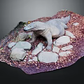 Detailed Komodo Dragon Model In Natural Habitat With Rocks And Ground