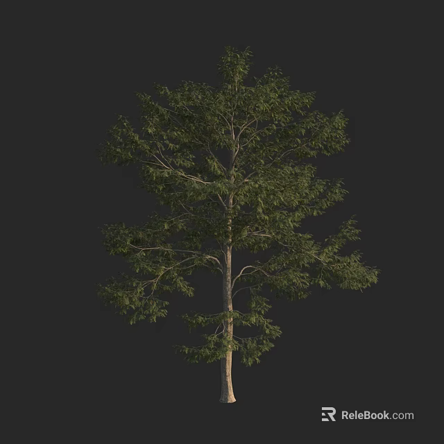 Tall Tree With Lush Green Leaves And Straight Trunk In Natural Landscape 3d model 
