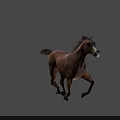 Brown Horse Galloping Dynamically With Muscular Build Against Gray Background 3d model
