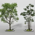 Two Green Leafy Arbors with Round Base Small Stones and Green Moss 3d model