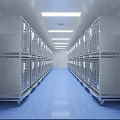 Elevator Corridor Featuring Metal Cages Both Sides Blue Floor Long Strip Ceiling Lights Clean Neat
