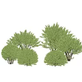 Multiple Green Shrubs With Various Shapes And Sizes On White Background 3d model