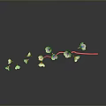 Elegant Curved Branch With Multiple Pink Flowers And Water Reflection On Gray Background