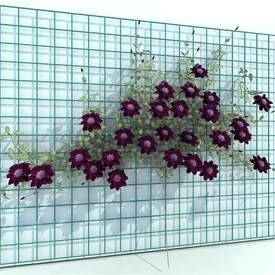 Modern Plant Clematis 3d model