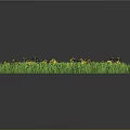 Lush Circular Green Grass With Bright Yellow Flowers On Dark Background