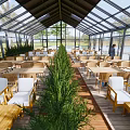 Sunlit Glass Roof Café Interior With Wooden Tables White Seats Green Plants And Outdoor View