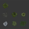 Various Forms And Colors Of Trees Including Blue Green And Leafless On Gray Background