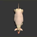 Realistic Pink Pig Standing On Smooth Black Surface With Reflection 3d model