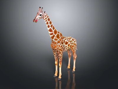 Realistic Giraffe Standing With Long Neck And Spotted Brown White Fur Pattern 3d model