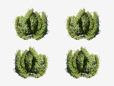 Ornamental Green Leafy Shrubs With Small Pink Flowers For Garden Landscaping Design 3d model