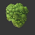 Fresh Romanesco Broccoli With Unique Spiral Structure And Vibrant Green Color