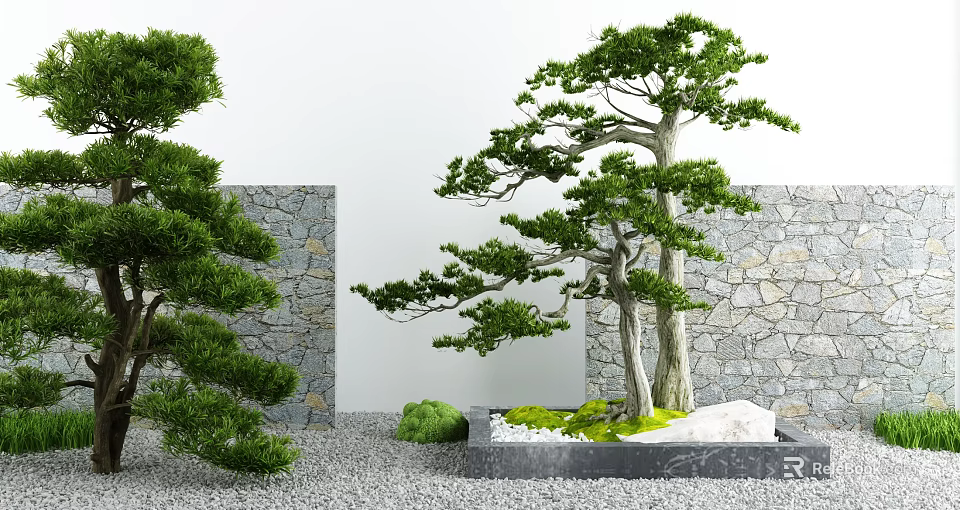 Courtyard Garden Featuring Pine Trees Stone Wall Gravel and Mossy White Stones 3d model 
