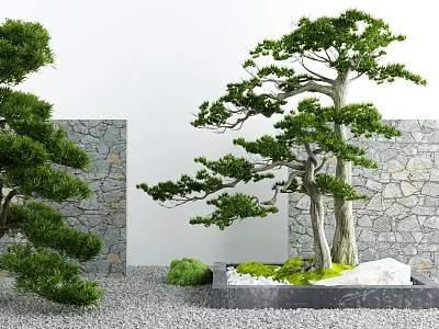 Courtyard Garden Featuring Pine Trees Stone Wall Gravel and Mossy White Stones 3d model